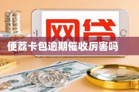 秒速回收，便携卡包新方式