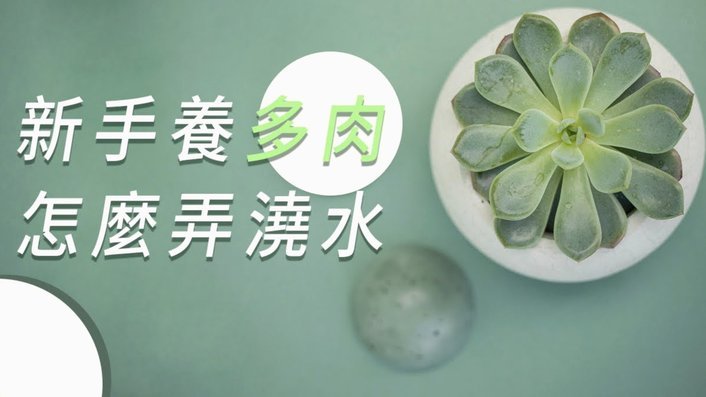 得物提现多久到账？影响因素详解