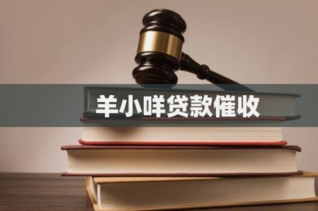 羊小咩贷款逾期会怎么样