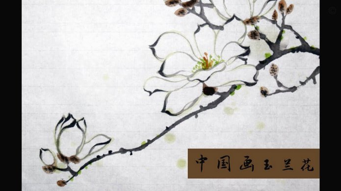 花呗分期套现真需要手续费吗？全方位揭秘成本结构