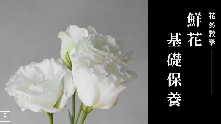 携程拿去花提现指南