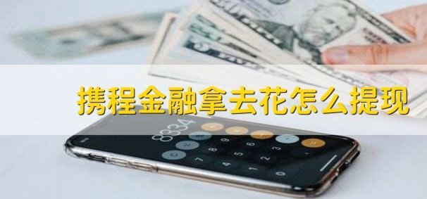怎么关闭携程拿去花功能