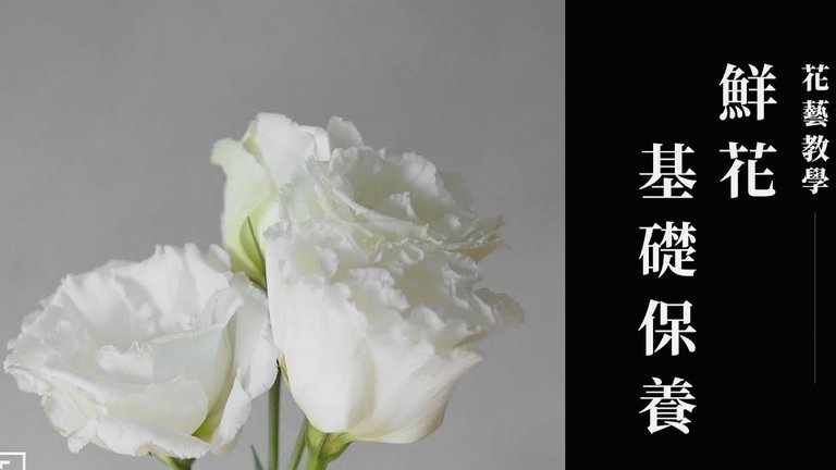 花呗怎么提现出来到微信
