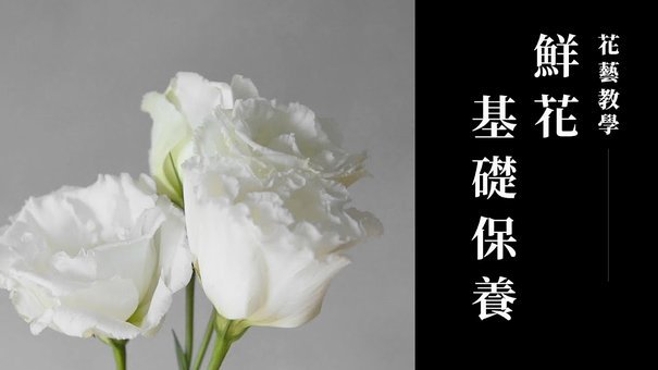 <think data-site-id=