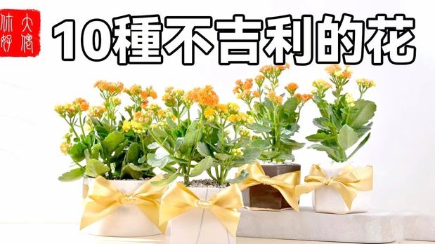 如何查看携程拿去花的额度