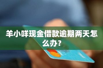 羊小咩怎么借钱