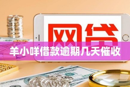 羊小咩怎么借钱