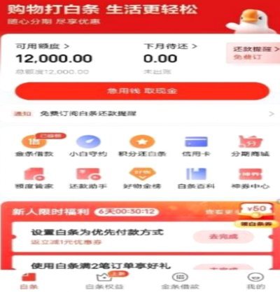 白条额度管理技巧