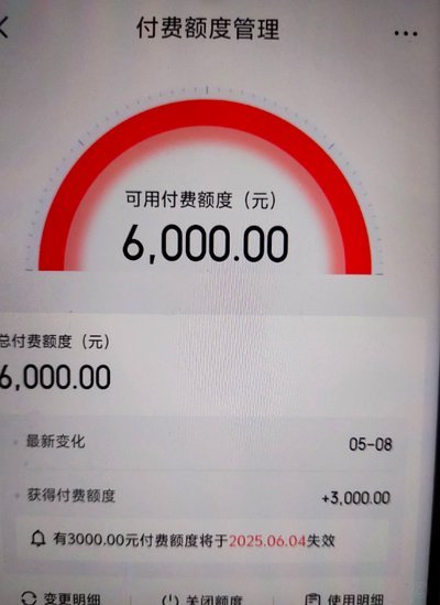 白条付费额度怎么套 取出来