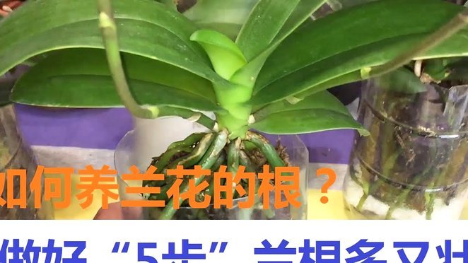 拿去花的取现怎么没有了