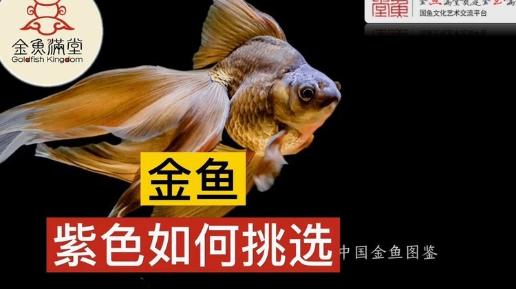 怎么套花呗现金