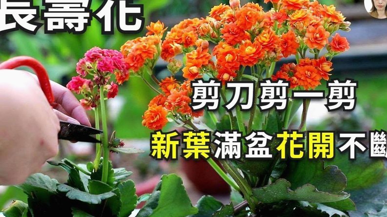 携程拿去花如何查看消费记录？