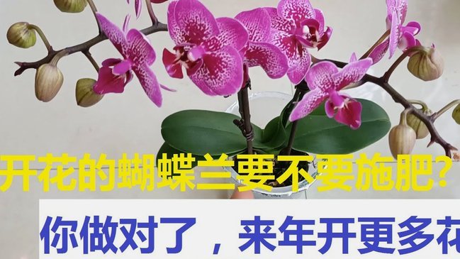 花呗分期套现还能靠得住吗？