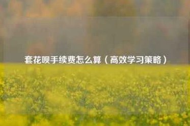 套花呗怎么收手续费的