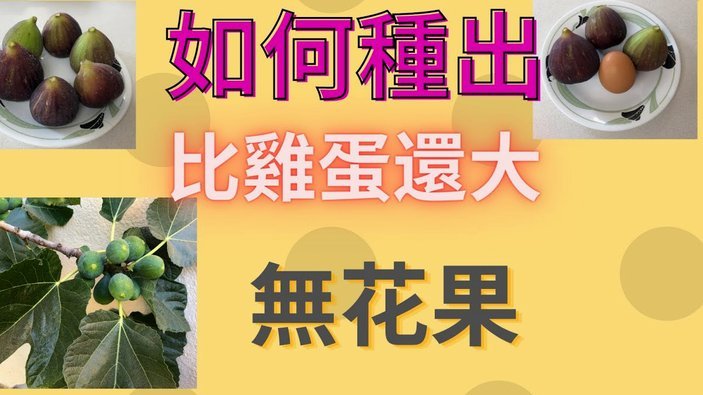 分期乐套现的法律风险与深层代价大揭秘