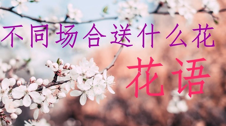 分付额度怎么花