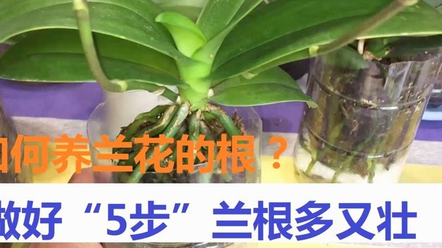 分付额度怎么花