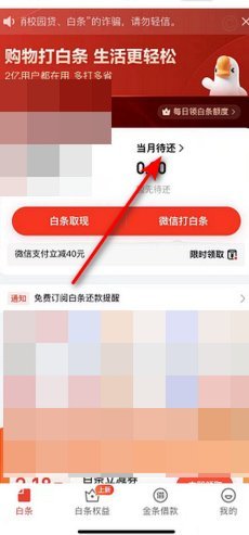 白条怎么直接还清账单