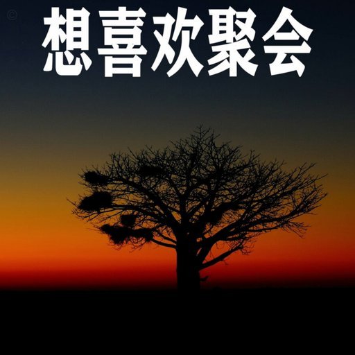 安逸花卡号错误诈骗案剖析