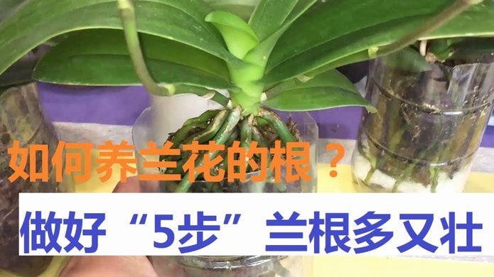 携程拿去花套路贷怎么还