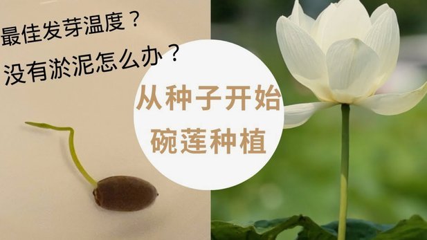 携程拿去花怎么用最划算