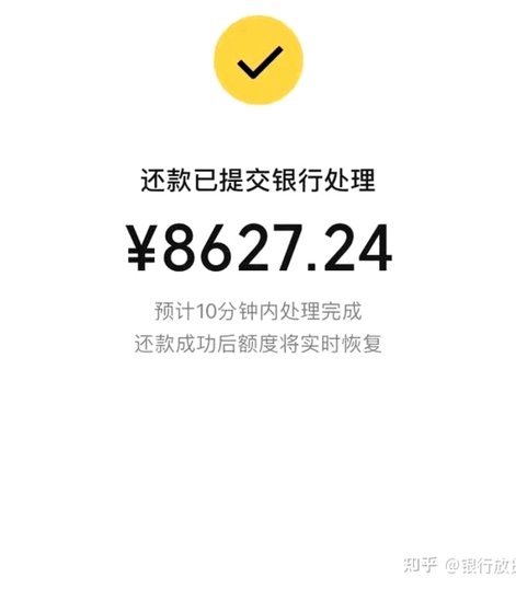 海鸥平台借款怎么处理