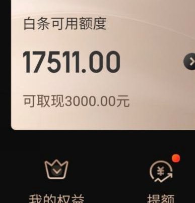 拿去花额度怎么提现 秒到账户