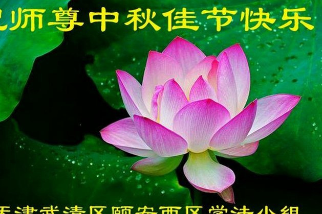花呗套现：风险重重，诈骗潜伏！
