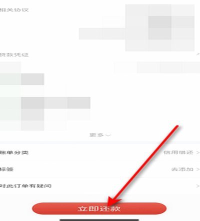 白条如何借款及平台还款机制解析