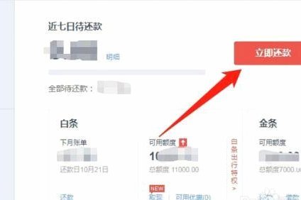 白条怎么借钱出来 平台还款呢