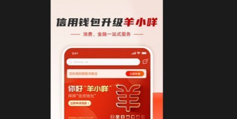 羊小咩24期分期协商策略
