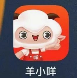 羊小咩怎么协商分24期可以吗