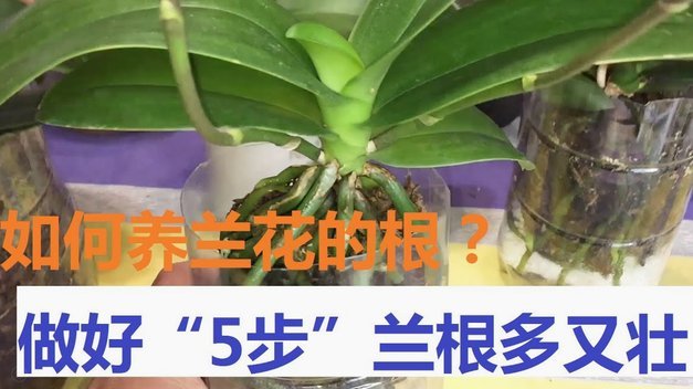 花呗提现流程详解：身份验证、限额与冻结风险