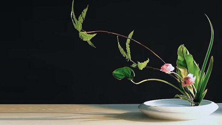 谁知道花呗怎么提现