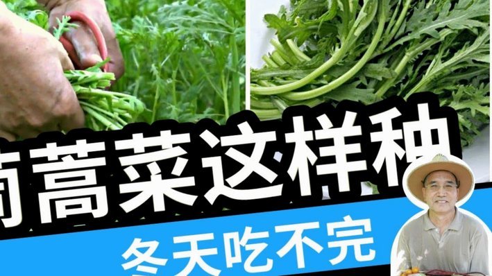 花呗提现收手续费吗