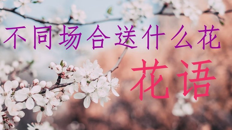 花呗电话背后的智能风控