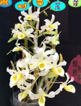 携程拿去花怎么提现秒到