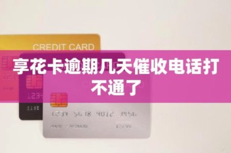 享花卡如何在安诚小铺与助富掌柜中轻松获取