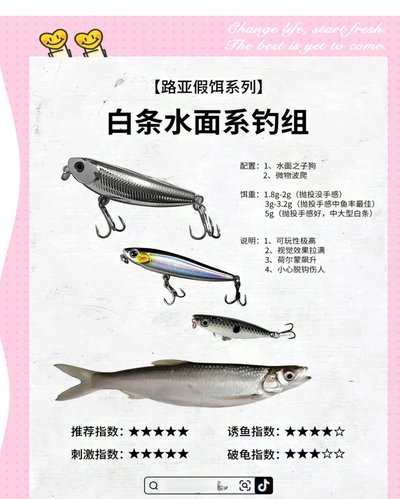 白条使用全攻略