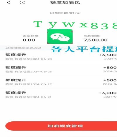 白条加油额度怎么使用