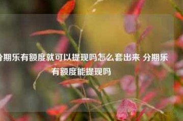 分期乐套现：风险与法律边界