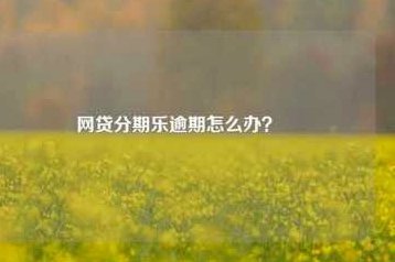 分期乐正规吗？利息是否偏高？