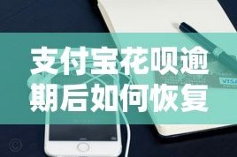 花呗正确的套取方式 出现问题怎么解决
