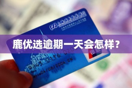 鹿优选额度套出来可靠吗?